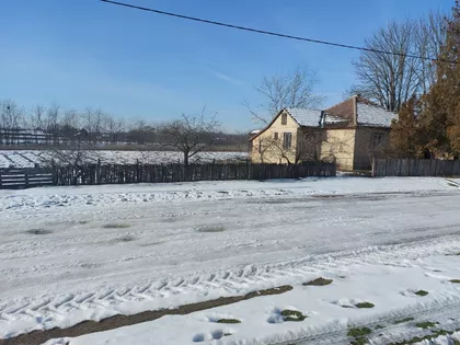 Donji Tavankut | 4zida.rs