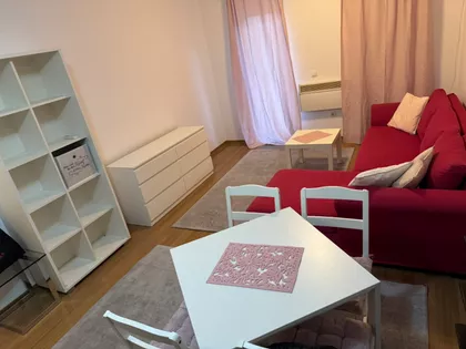 Miljakovacke staze | 4zida.rs