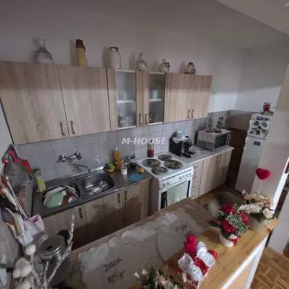 Nova Selenča | 4zida.rs