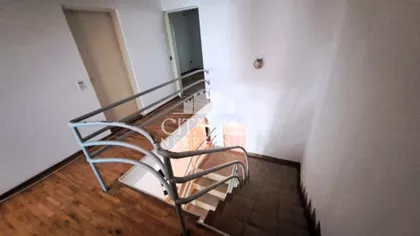 Arčibalda Rajsa | 4zida.rs