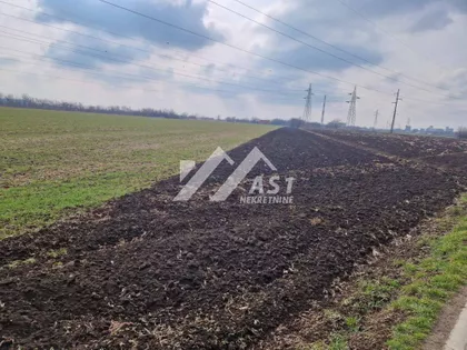 Zeleno polje | 4zida.rs