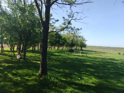 Karlovčić | 4zida.rs