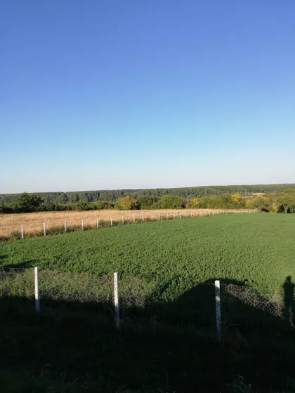 Lipovački Put | 4zida.rs