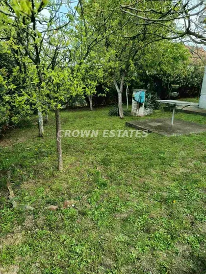 Jeliciceva | 4zida.rs