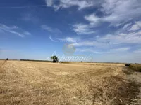 Stepanovićevo, Okolne lokacije, Novi Sad | 4zida.rs