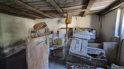Bački Gračac | 4zida.rs