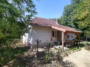 Donji Tavankut
