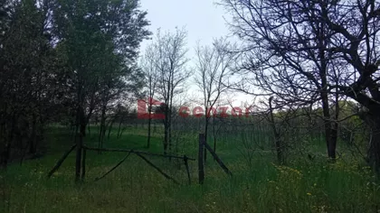 Kelebija | 4zida.rs