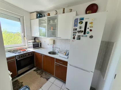 Novosadski Put | 4zida.rs