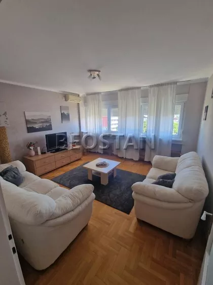Ljutice Bogdana | 4zida.rs