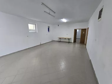 Lazara Mamuzića