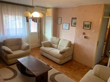 Bate Brkića