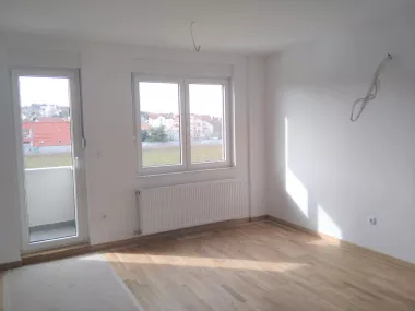 Mišeluk