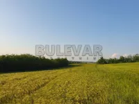 Velika Moštanica, Čukarica opština, Beograd | 4zida.rs