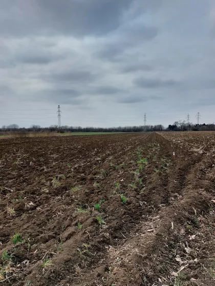 Plavi Horizonti | 4zida.rs