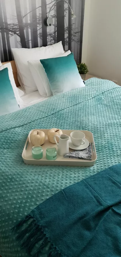 Jelena Anžujska 31 | 4zida.rs