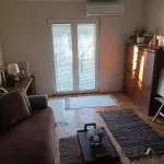 Socijalno, Rotkvarija, Gradske lokacije, Novi Sad | 4zida.rs | 4zida.rs