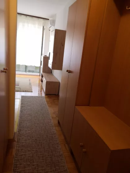 Dr Svetislava Kasapinovića | 4zida.rs