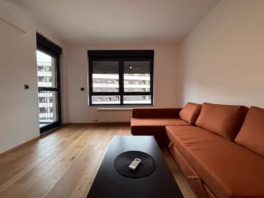 Dragoslava Srejovića