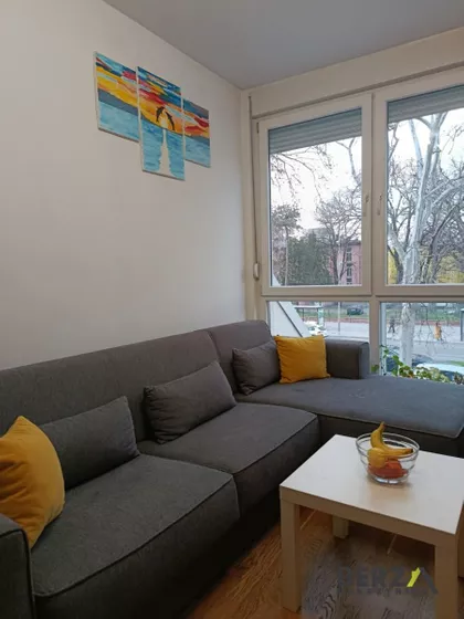 Cara Dušana | 4zida.rs