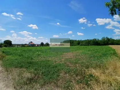 Vinorača | 4zida.rs