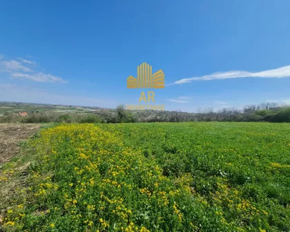 Gornja Trnava | 4zida.rs