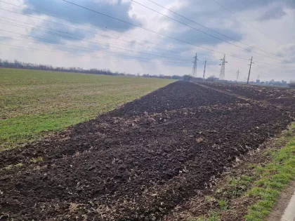 Zeleno Polje | 4zida.rs