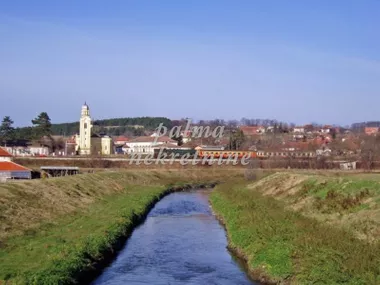 Badnjevac