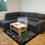 Novi Sad, Gradske lokacije, Petrovaradin | 4zida.rs | 4zida.rs