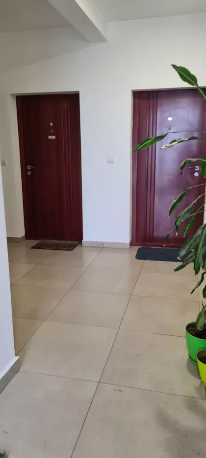 Miljana Miljanića | 4zida.rs