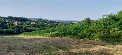 Drenovačka | 4zida.rs