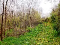 Koraćica, Mladenovac opština, Beograd | 4zida.rs