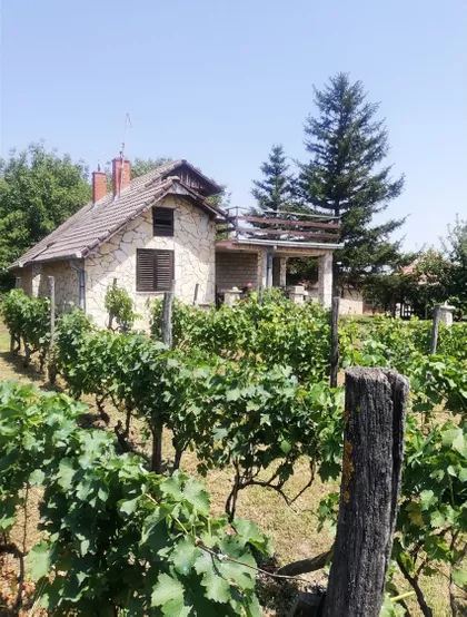 Đure Jakšića | 4zida.rs