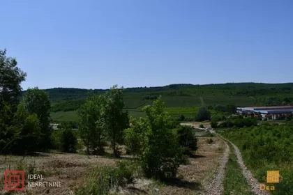 Rizopek | 4zida.rs