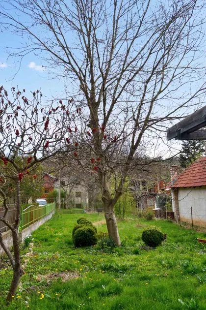 Vele polje | 4zida.rs