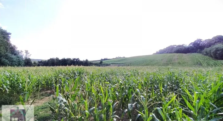 Poljoprivredno zemljište | 4zida