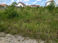 Plac | 4zida