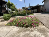 Nova Selenča, Gradske lokacije, Sombor | 4zida.rs