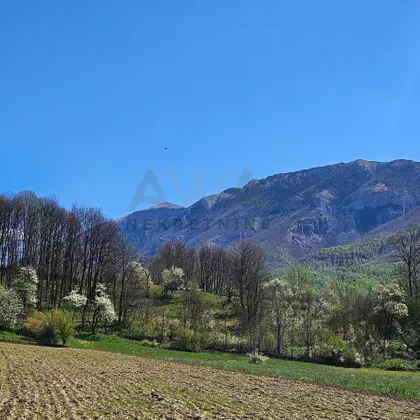 Gradske lokacije | 4zida.rs