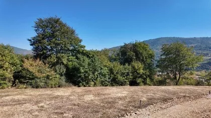 Mijoska | 4zida.rs
