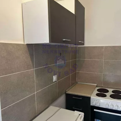 Janka Čmelika | 4zida.rs