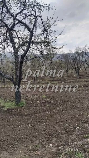 Poljoprivredno zemljište | 4zida