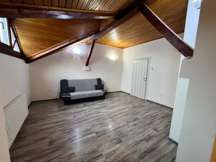 Lajoša Joa | 4zida.rs