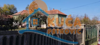 Mezgraja | 4zida.rs