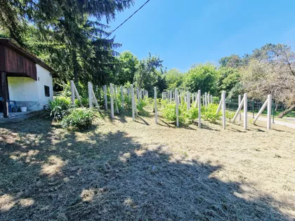 Đurđevo Brdo | 4zida.rs