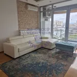 Novi Sad, Gradske lokacije, Stari Grad, Novi Sad - Centar | 4zida.rs | 4zida.rs