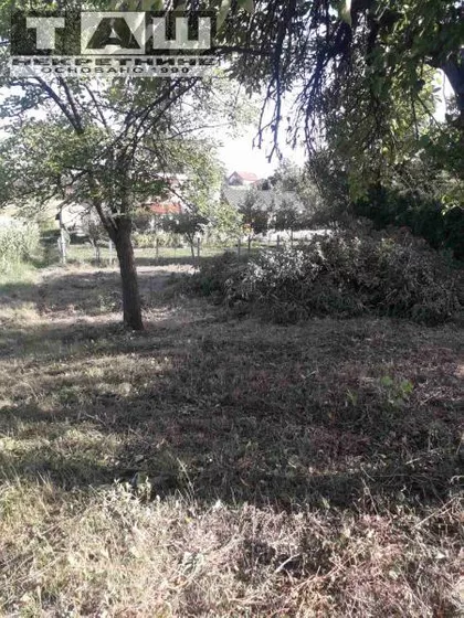 Košutnjak | 4zida.rs