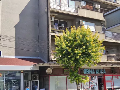 Centar | 4zida.rs