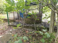 Donje Vlase, Okolne lokacije, Niš | 4zida.rs