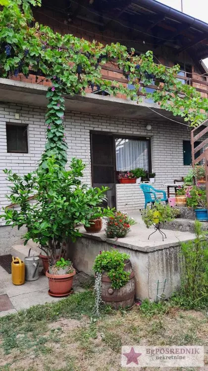 Janka Čmelika | 4zida.rs